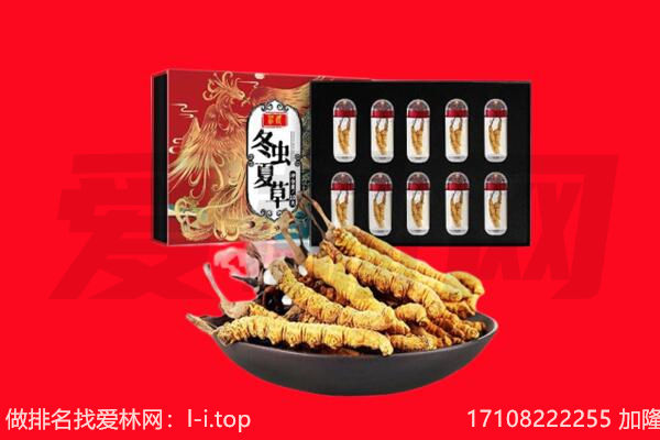 梅州平远县回收虫草.jpg